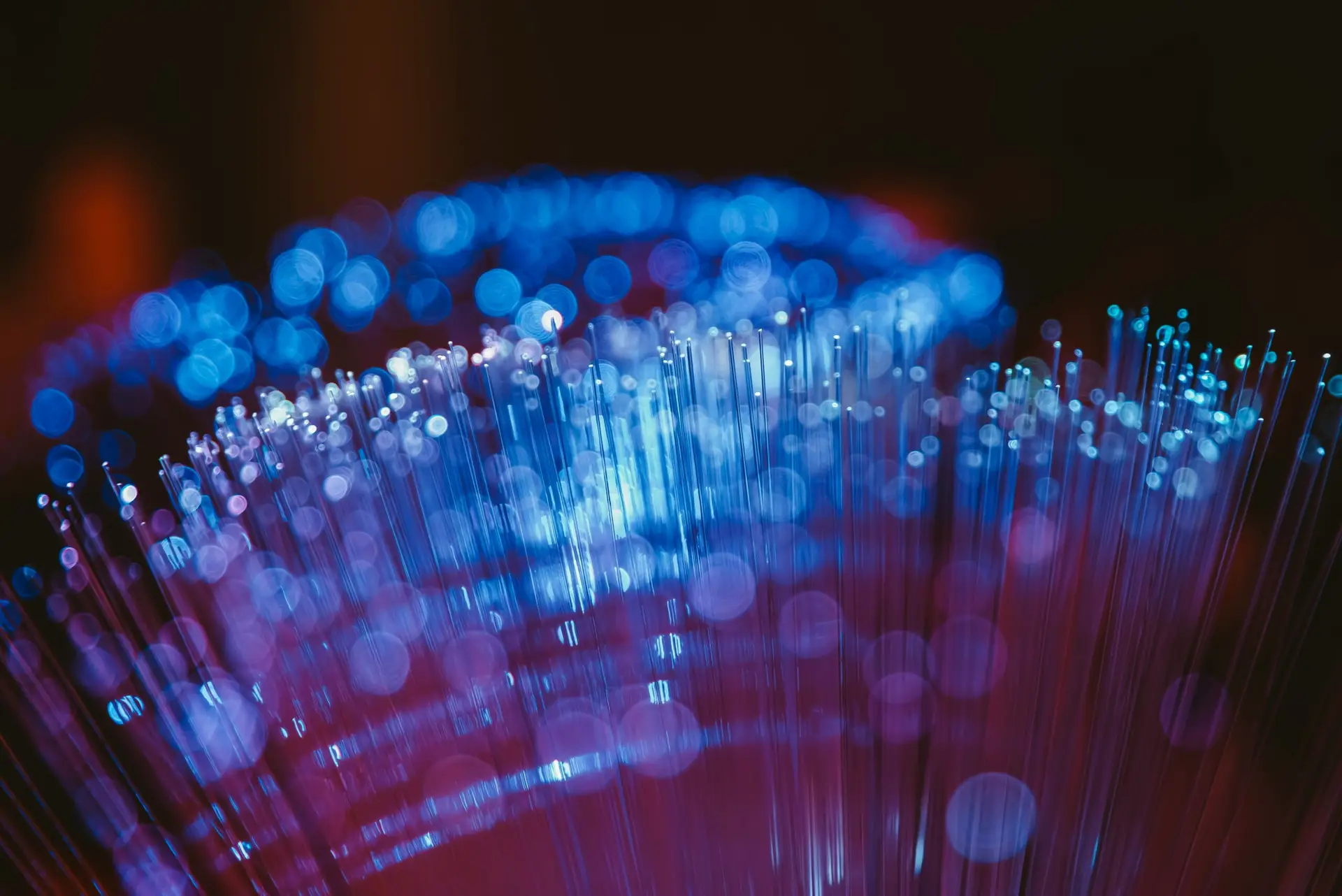 Close-up of illuminated fiber optic cables representing high-speed internet infrastructure at Onqol studio